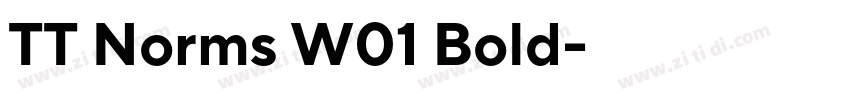 TT Norms W01 Bold字体转换 TT Norms W01 Bold字体转换